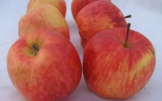 ДЕЛЬБАРЕСТИВАЛЬ