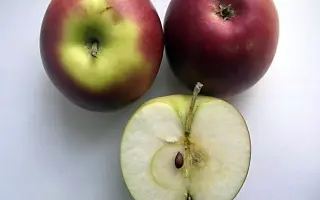 ПАМЯТЬ КЕДРИНА