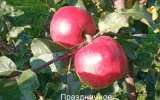 ПРАЗДНИЧНОЕ