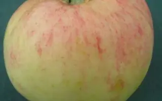 ОСИПОВСКОЕ