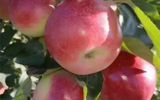 АЛЕКСАНДР БОЙКО