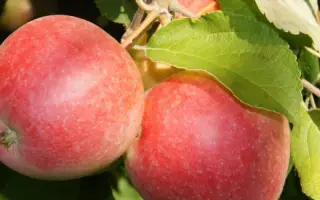 ХВАЛЫНСКОЕ