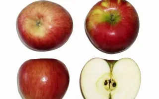 ЧЕРНОМОРСКОЕ ИНДЕНКО