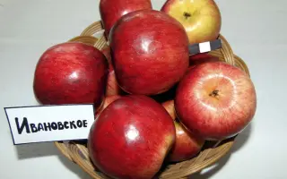 ИВАНОВСКОЕ