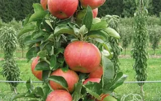 АКАДЕМИЧЕСКАЯ