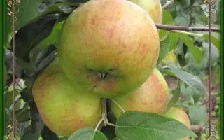 ГОРДЕЕВСКОЕ