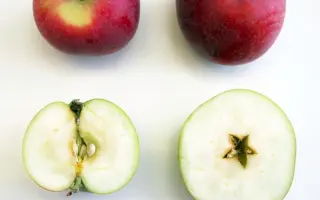 КУБАНСКОЕ РУМЯНОЕ