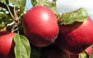 ЗАСЛАВСКОЕ