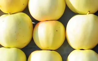 ЗОЛОТОЕ ЛЕТНЕЕ