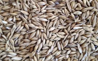 ФЕРМЕРСКИЙ