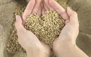 ХАБАРОВСКИЙ