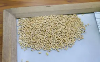 ВОЛГОГРАДСКИЙ 12