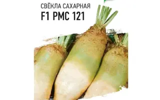 РМС 137