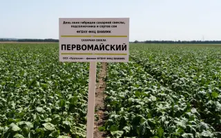 ПЕРВОМАЙСКИЙ