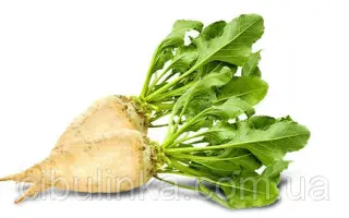 УКРАИНСКИЙ МС 72