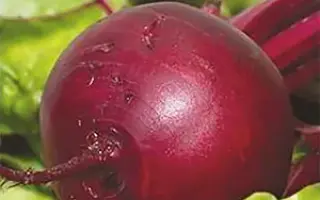 ЧЕРВОНА КУЛА