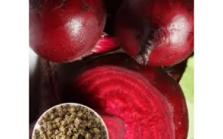 ГРАНАТОВЫЙ ШАР