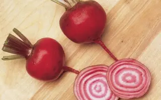 ВОРОНЕЖСКАЯ ЮБИЛЕЙНАЯ