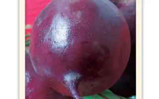 ТЁМНАЯ ЛОШАДКА