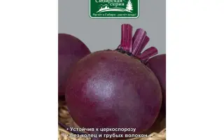 КОРОЛЕВСКИЙ ПУРПУР