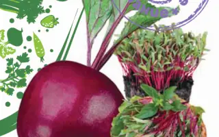 УРАЛЬСКИЙ РАФИНАД