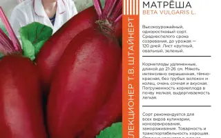 МАТУШКА МАТРЁША