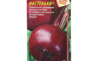 НАСТЕНЬКА