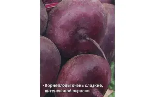 СЛАСТЁНА