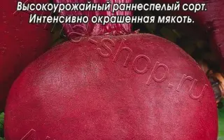 ГРАНАТОВЫЙ СОК