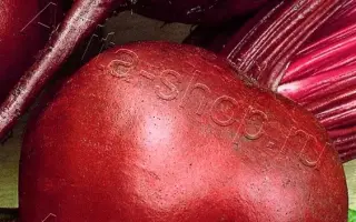 БОРДОВЫЙ ШАР