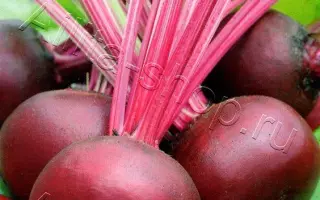 БОРДОВЫЙ ДЕЛИКАТЕС