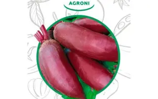 ПРИМОРСКАЯ 4