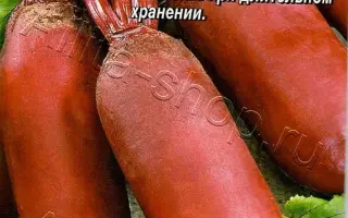 ПРОСТО КЛАД