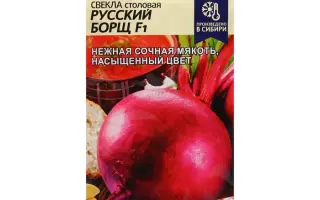 РУССКИЙ БОРЩ