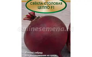 ЦЕППО