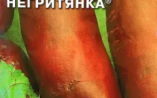 НЕГРИТЯНКА