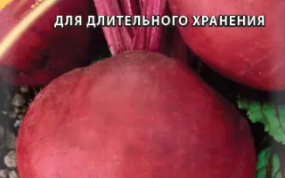 КРЫМСКАЯ БОРЩЕВАЯ 1