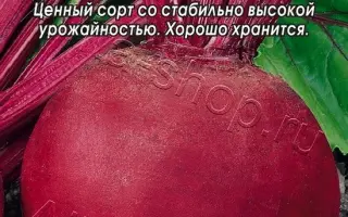 БЫЧЬЯ КРОВЬ