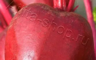 ДЕТРОЙТ РУБИНОВЫЙ 3