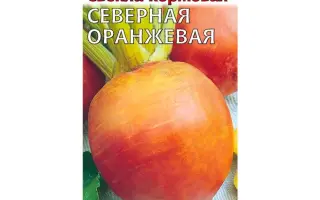 СЕВЕРНАЯ ОРАНЖЕВАЯ