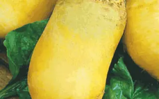 ТИМИРЯЗЕВСКАЯ ОДНОСЕМЯННАЯ