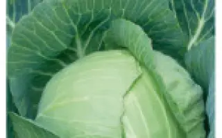 НОМЕР ПЕРВЫЙ ПОЛЯРНЫЙ К 206