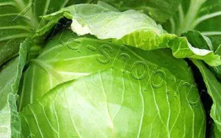 ЗОЛОТОЙ ГЕКТАР 1432