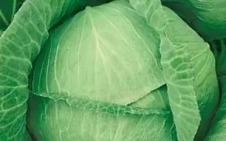 БИРЮЧЕКУТСКАЯ 138