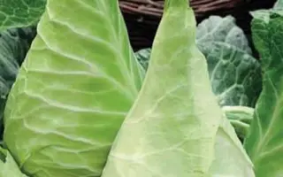 САХАРНОЕ СЕРДЦЕ