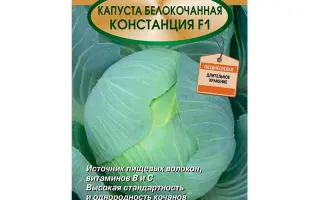 КОНСТАНЦИЯ
