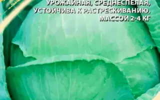 БРАТЕЦ КРОЛИК