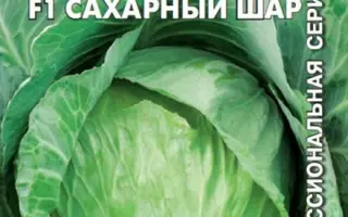 САХАРНЫЙ ШАР