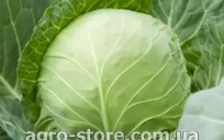 БЕВЕРЛИ ХИЛЛЗ