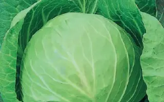 КРЕСТЬЯНКА